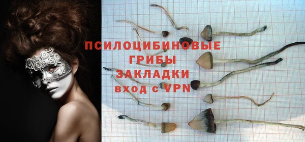 кокаин колумбия Белокуриха