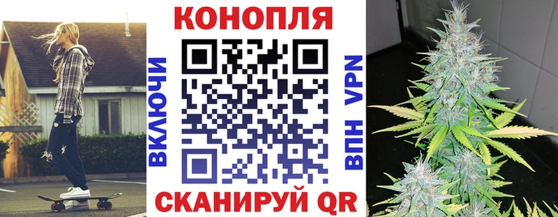 дарк нет как зайти закладки Шадринск Конопля сатива